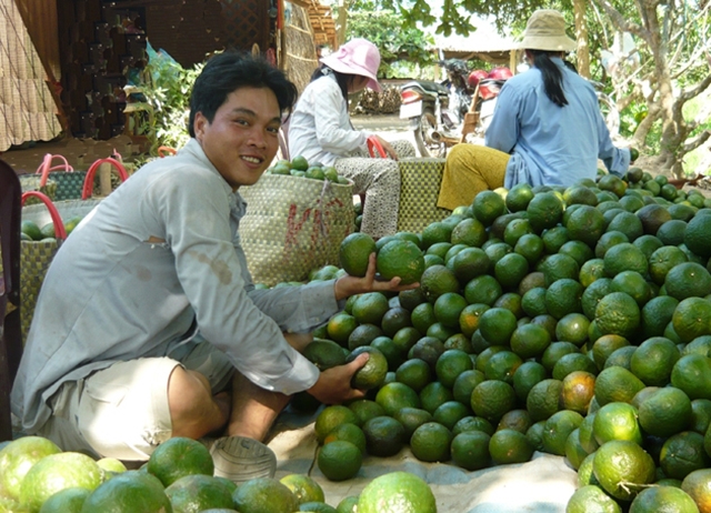 Cầu Kè đang thúc đẩy chuyển đổi cơ cấu cây trồng để mở hướng làm giàu cho nông dân (Ảnh Tư liệu)