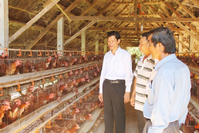 Mô hình trang trại nuôi gà khép kín của anh Nguyễn Văn Học (Ảnh: TL)