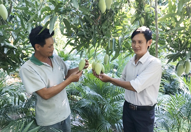 Cây ăn quả là mặt hàng thế mạnh tại Vĩnh Long có tiềm năng xuất khẩu lớn (Ảnh Tư liệu)