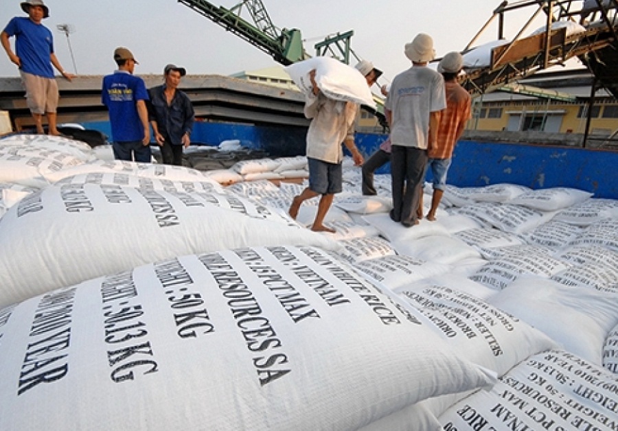 Kim ngạch xuất khẩu gạo tăng hơn 17% do giá xuất khẩu tăng gần 13%