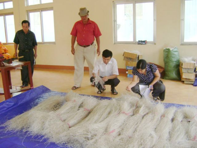 HTX miến dong Kim Mộc đã đăng ký thương hiệu miến dong đỏ (Ảnh: TL)