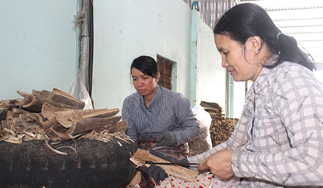 Sản xuất trầm ở làng nghề xã Phú Trung (huyện Tân Phú, Đồng Nai)