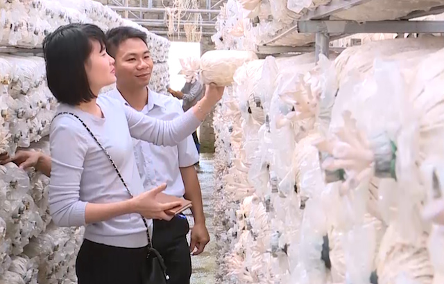 Đồng Nai đang hướng tới đào tạo nghề, tổ chức việc làm cho lao động nông thôn kết hợp phát triển vùng nguyên liệu tại địa phương