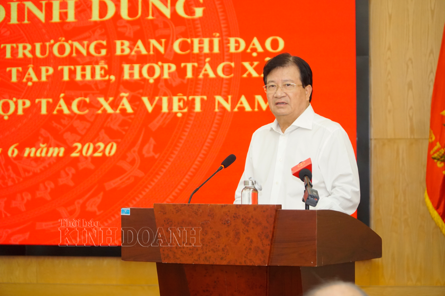 Phó Thủ tướng Chính phủ Trịnh Đình Dũng kỳ vọng khu vực KTTT, HTX sẽ ngày càng phát triển hơn nữa