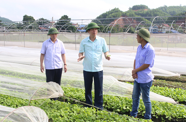 Khu vực kinh tế hợp tác, HTX đang nhận được nhiều quan tâm của các ban ngành tỉnh Thái Nguyên (Ảnh Tư liệu)