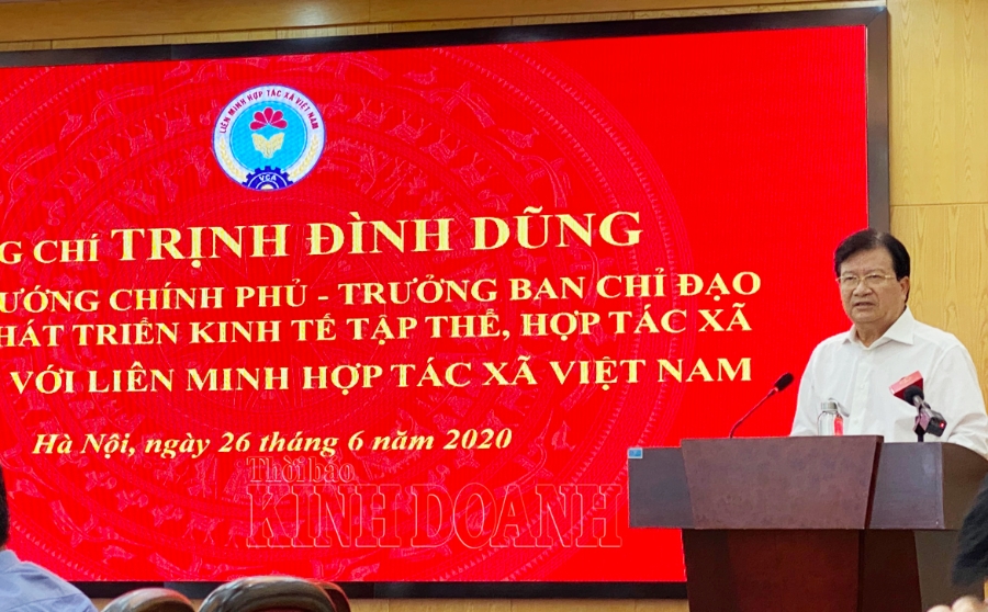 Phó Thủ tướng Chính phủ, Trưởng ban chỉ đạo đổi mới phát triển kinh tế tập thể, Hợp tác xã Trịnh Đình Dũng phát biểu chỉ đạo tại buổi làm việc.