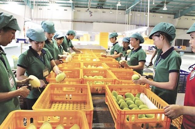 Kim ngạch xuất khẩu nông sản năm 2020 được dự báo vẫn có thể đạt 41 tỷ USD