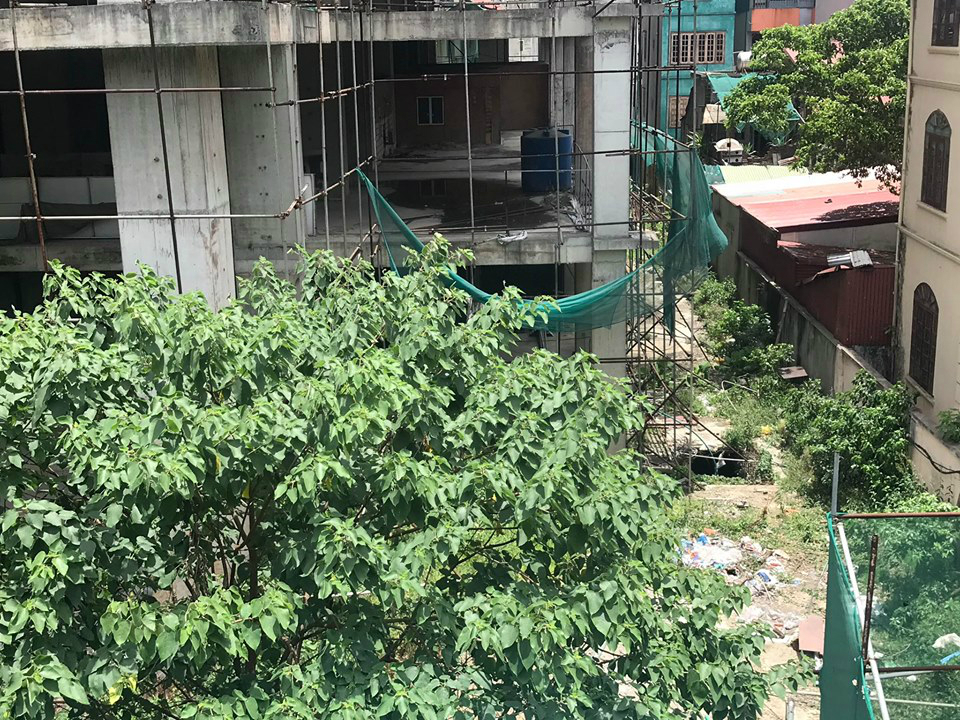 Nếu CTCP Ba Đình không thanh toán thì GPBank sẽ yêu cầu cơ quan chức năng phát mại toàn bộ tài sản thuộc sở hữu của ông Nguyễn Tiến Trung - Chủ tịch HĐQT CTCP Ba Đình, bao gồm cổ phần tại CTCP Ba Đình và dự án Hattoco bao gồm 85 căn hộ chưa bán, 6 sàn văn phòng cho thuê, quyền khai thác sử dụng dịch vụ 3 tầng hầm; quyền tài sản phát sinh từ hợp đồng mua bán 355 căn hộ đã bán, quyền khai thác kinh doanh với 35 căn hộ chưa bán.