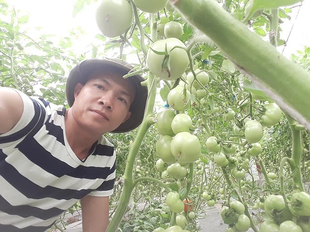 Phát triển nông nghiệp công nghệ cao là xu thế tất yếu của HTX