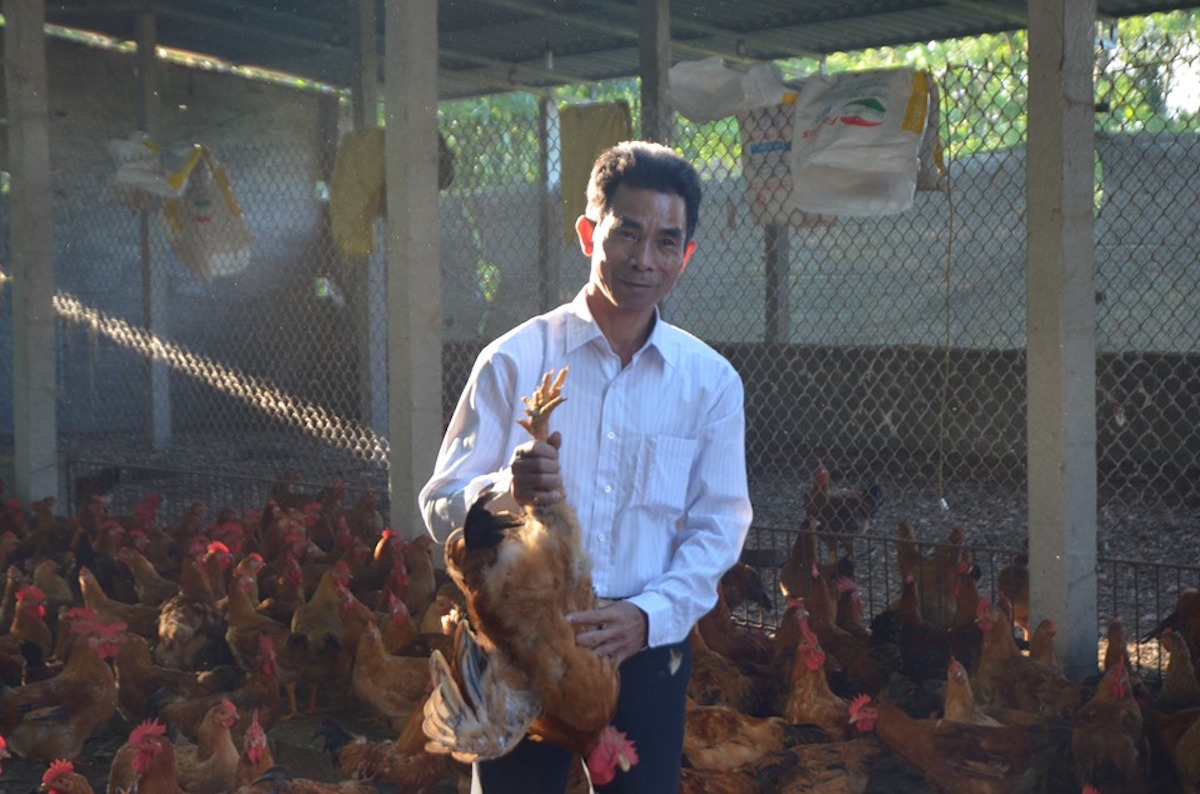 HTX Đông Thịnh phát triển mạnh sau khi nhiều thành viên được tham gia học nghề.