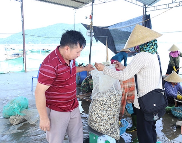 Giá ngao đang được bán ra ngoài thị trường từ 15.000 - 16.000 đồng/kg