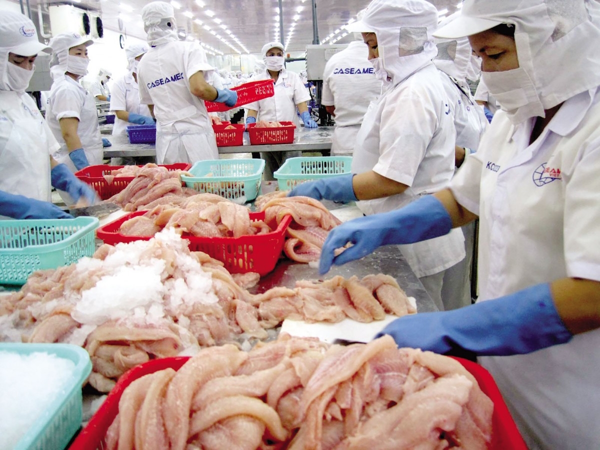 Thủy sản là ngành được đánh giá hưởng lợi lớn khi EVFTA chính thức được thực thi (Ảnh: TL)