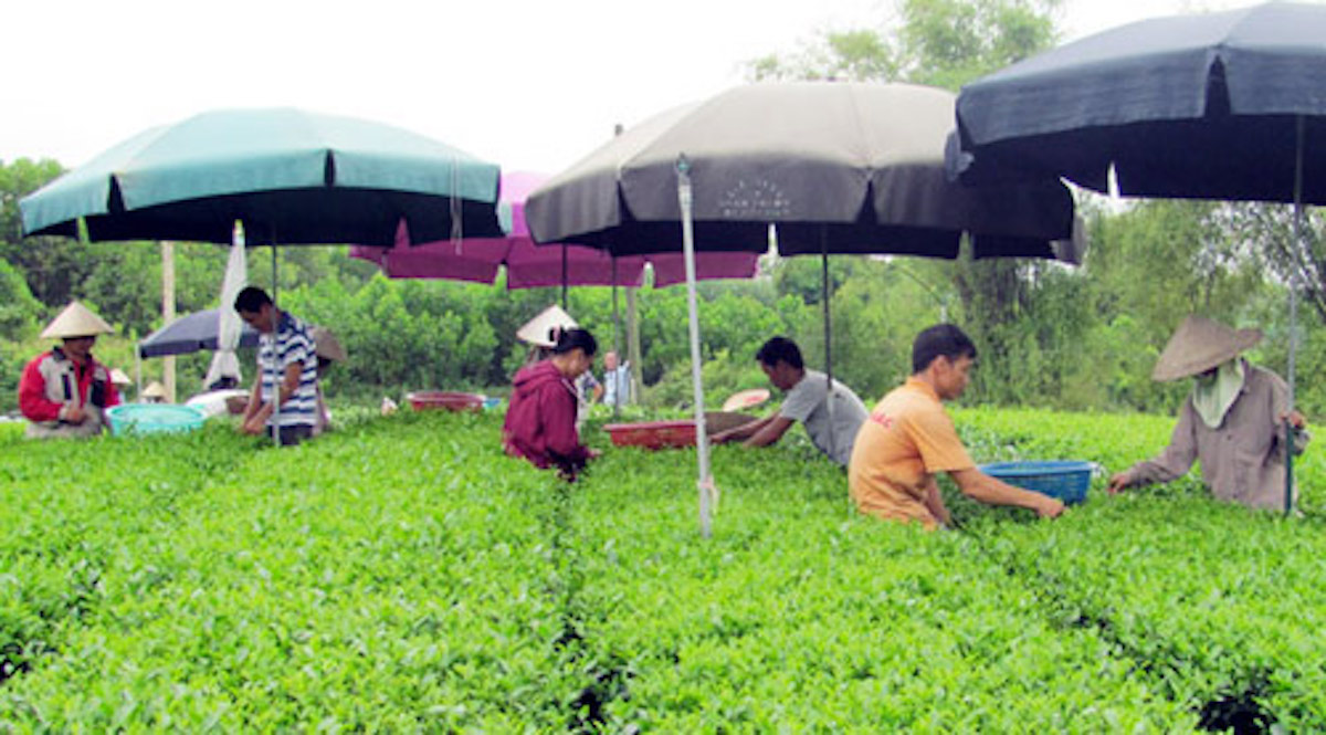 Mỗi năm Thái Nguyên đào tạo nghề cho 4.000 lao động.