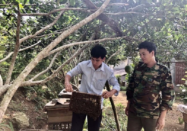 Nghề nuôi ong giúp nâng cao thu nhập, góp phần giúp địa phương thực hiện giảm nghèo bền vững