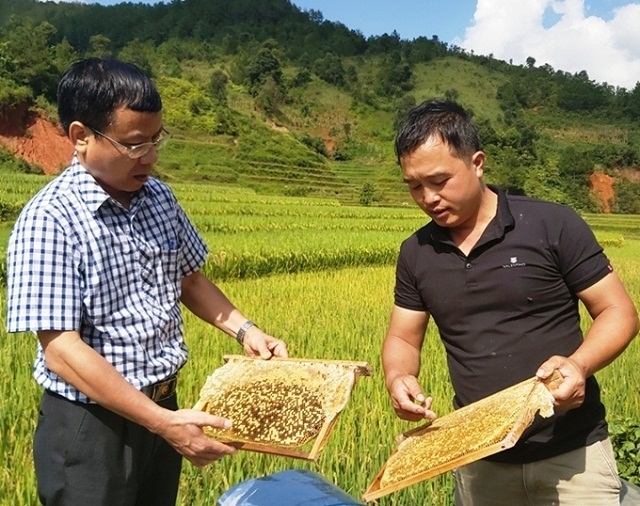 Các thành viên HTX kiểm tra chất lượng mật ong.