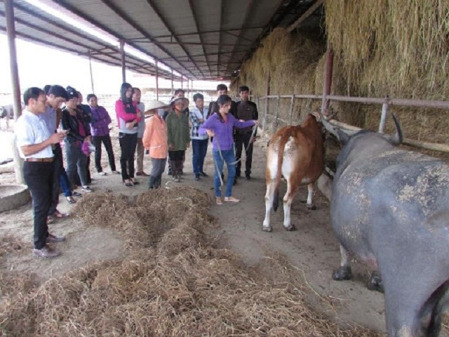 HTX Đông Liếng là điển hình trong công tác giảm nghèo ở địa phương