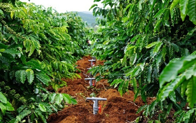 Dự án VnSAT giúp nông dân giảm chi phí sản xuất, hướng tới phát triển nông nghiệp bền vững