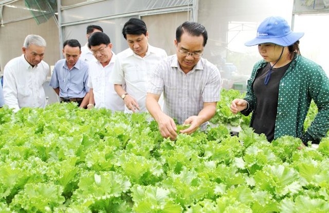 Nhiều nông dân ở Long An học lớp dạy “Kỹ thuật trồng rau an toàn theo hướng công nghệ cao”