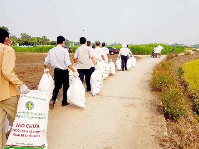 Nông dân thu gom bao bì thuốc BVTV đem đi tiêu hủy.