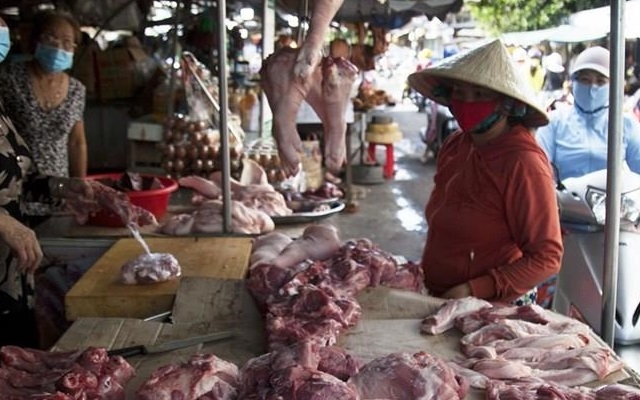 Giá lợn hơi ở Hà Nội tăng trở lại (Ảnh Internet)