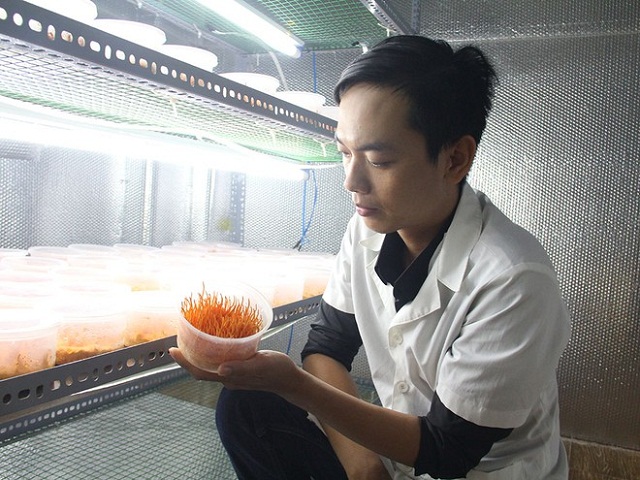 Nguyễn Thành Luận với mô hình nuôi cấy đông trùng hạ thảo (Ảnh: TL)