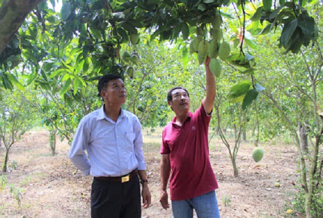 Nhiều nông dân ở xã biên giới Ea Bung đã biết cùng nhau liên kết phát triển sản xuất nông nghiệp theo chuỗi giá trị để nâng cao hiệu quả kinh tế