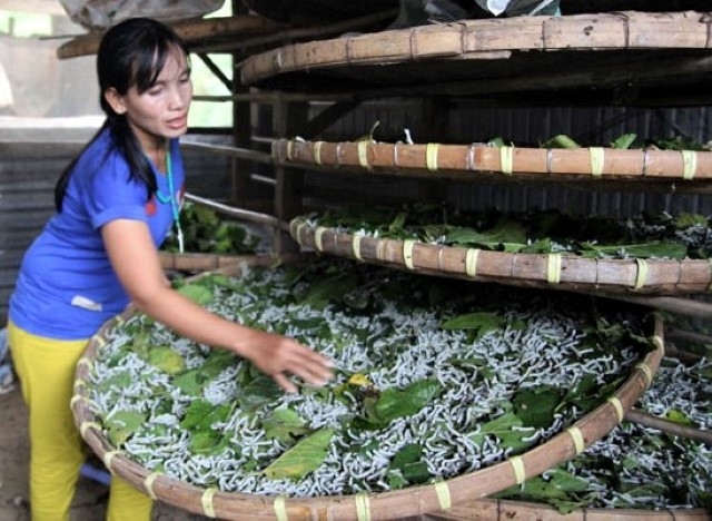 Các mô hình sản xuất hiệu quả góp phần giảm hơn 7% tỷ lệ hộ nghèo trong năm 2019