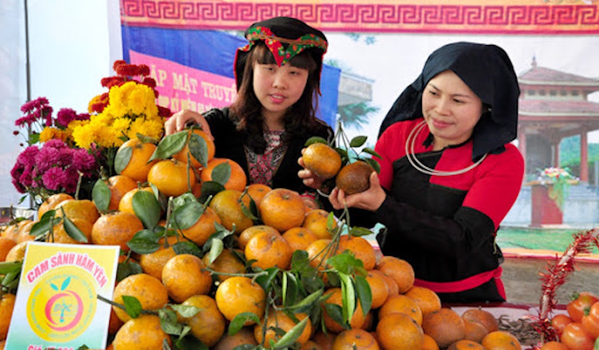 Học sản xuất sạch để đưa Cam Hàm Yên vươn xa.