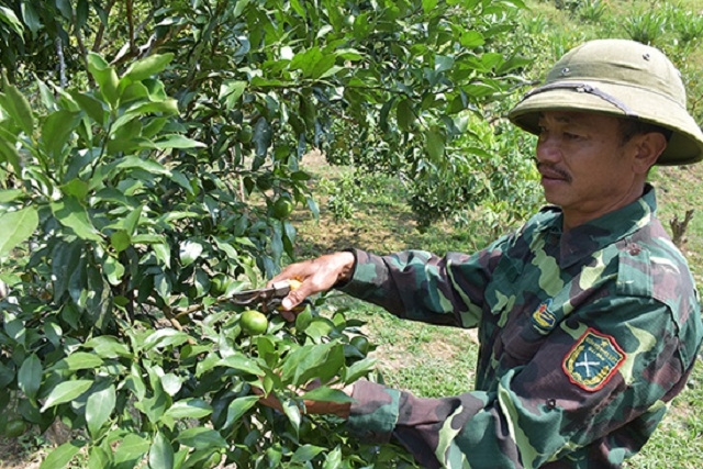 Người dân xã Sốp Cộp chăm sóc cây ăn quả (Ảnh:TL)