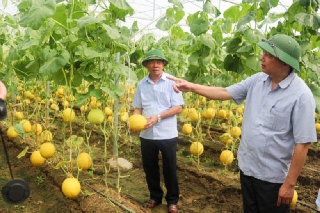 Huyện Hoằng Hóa đang tập trung làm tốt công tác chuyển giao tiến bộ khoa học kỹ thuật đến nông dân gắn với thực hiện có hiệu quả các mô hình thí điểm (Ảnh: TL)