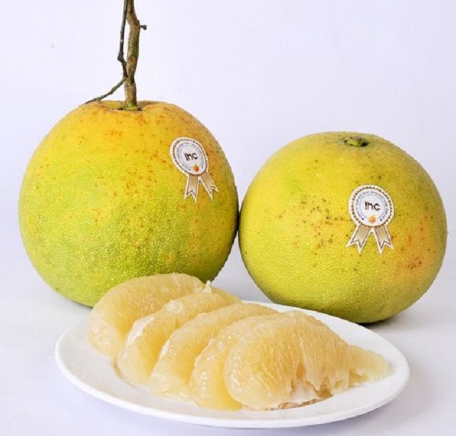 Bưởi Đoan Hùng là cây chủ lực giảm nghèo của người dân Phú Thọ (Ảnh: TL)