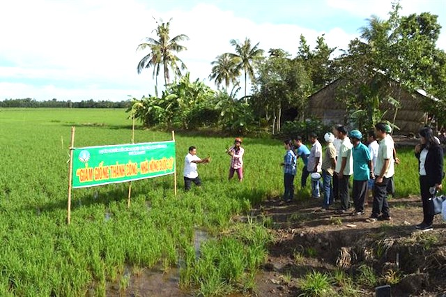 Huyện U Minh Thượng định hướng cho người dân nghèo hợp tác, liên kết, chọn ngành nghề phù hợp để phát triển sản xuất