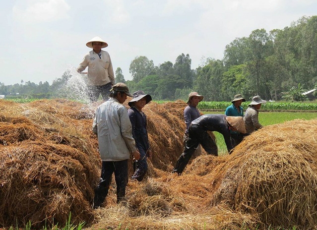 HTX luôn nâng cao nhận thức bảo vệ môi trường cho thành viên HTX (Ảnh: TL)