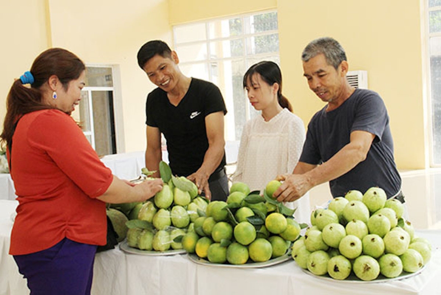 Tham gia các lớp tập huấn về phát triển thị trường, HTX tự tin đưa sản phẩm đi xa.
