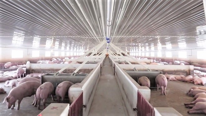 Dabaco đạt lợi nhuận sau thuế kỷ lục 744 tỷ đồng trong 6 tháng, gấp gần 50 lần so với cùng kỳ năm trước (Ảnh: TL)