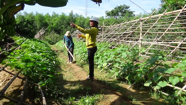 Huyện Khánh Vĩnh chú trọng phát triển các tổ hợp tác, HTX và vừa thúc đẩy đào tạo nghề