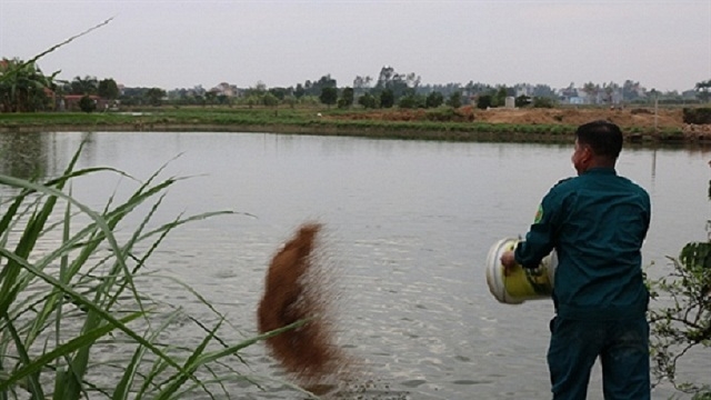 Hệ thống hạ tầng vùng nuôi trồng thủy sản từng bước được cải tạo và nâng cấp, tạo thuận lợi cho sản xuất (Ảnh: TL)