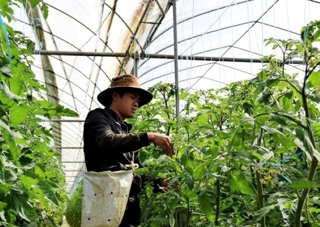 Nông nghiệp công nghệ cao và nông nghiệp hữu cơ góp phần đẩy nhanh tiến trình xây dựng NTM.