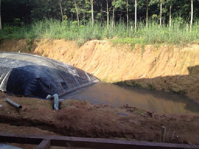 Việc sử dụng hầm khí biogas trong chăn nuôi giúp giảm thiểu ô nhiễm môi trường (Ảnh: TL)