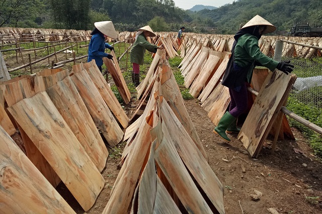 Chú trọng sản xuất an toàn giúp nâng cao chất lượng hoạt động (Ảnh:TL)