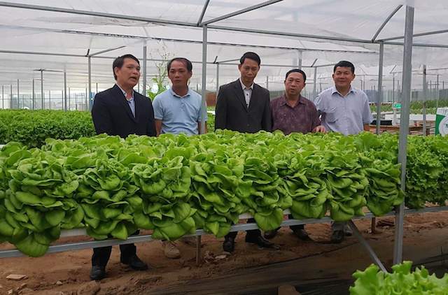 Nhiều nông dân ở Đà Nẵng quan tâm đến học nghề trồng rau an toàn