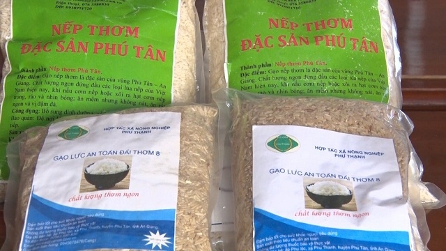 HTX nỗ lực đưa sản phẩm nếp Phú Tân đến thương hiệu quốc gia (Ảnh: TL)