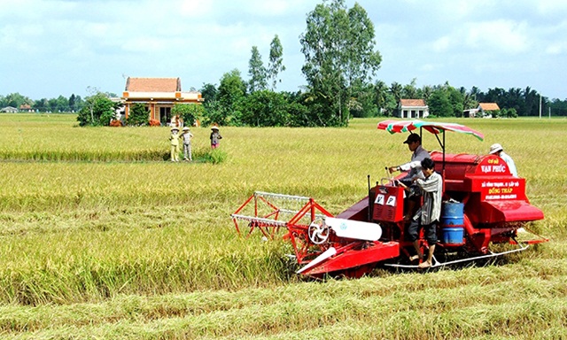 Mô hình liên kết sản xuất mang lại hiệu quả khá rõ rệt ở HTX nông nghiệp Gò Gòn.
