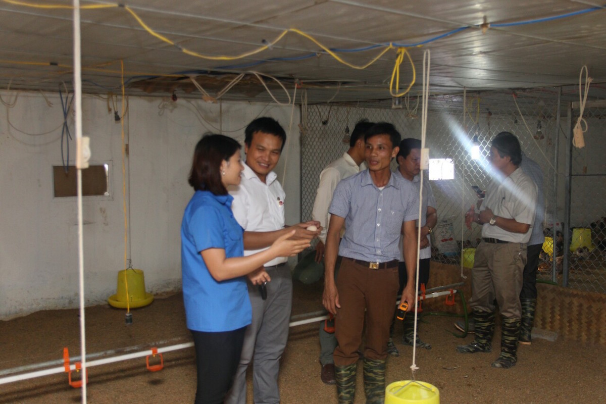 Phối hợp với các HTX đào tạo nghề đúng đối tượng, đúng nhu cầu.