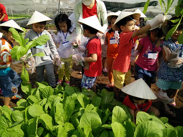 Nông nghiệp trải nghiệp giúp rộng đầu ra cho nông sản và tăng hiệu quả hoạt động kinh doanh.