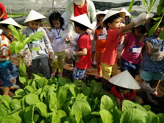 Nông nghiệp trải nghiệp giúp rộng đầu ra cho nông sản và tăng hiệu quả hoạt động kinh doanh.