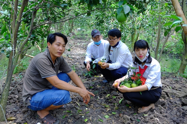 Là tỉnh thuần nông nên nhu cầu đào tạo nghề nông cho nông dân ở Hậu Giang là rất lớn
