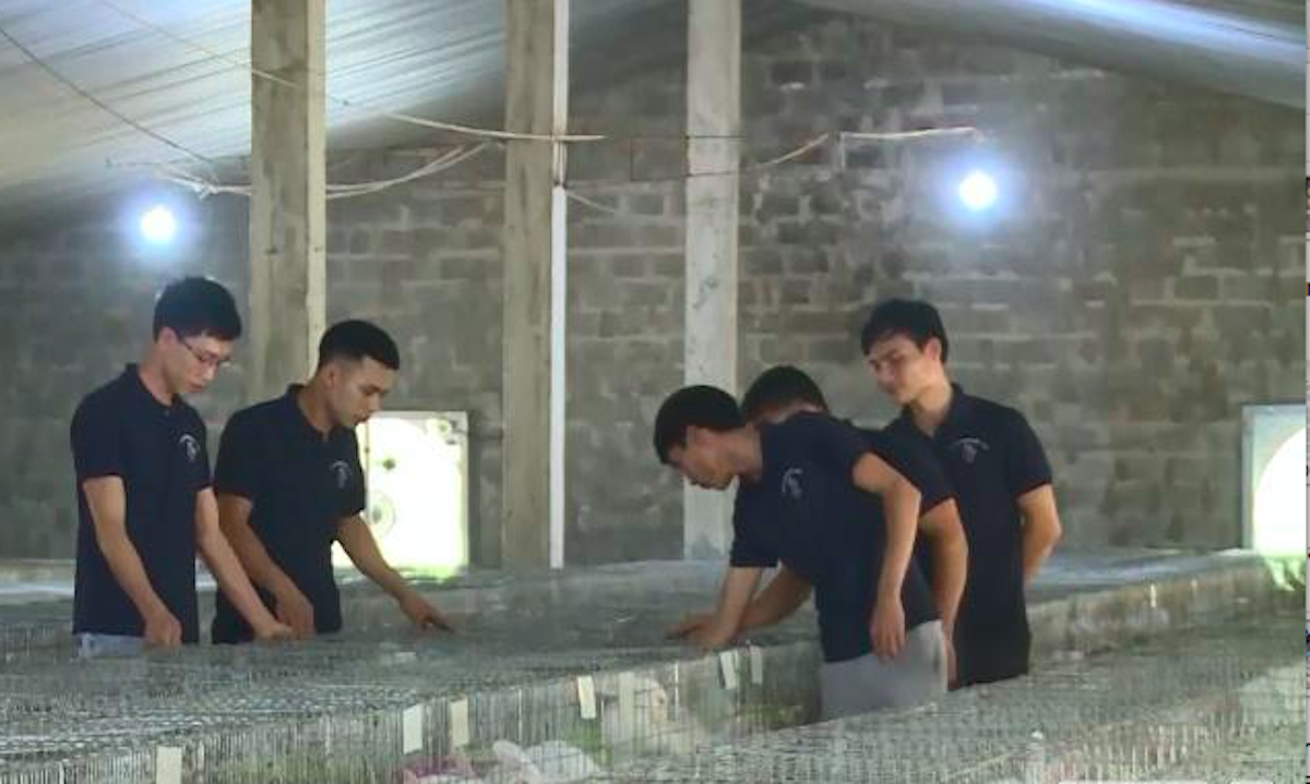 Mô hình nuôi thỏ của HTX chăn nuôi và phát triển giống thỏ Newzeland.