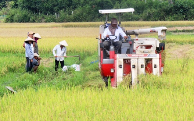 Tín dụng nội bộ khắc phục đáng kể tình trạng thiếu vốn trong hoạt động sản xuất kinh doanh của cả HTX lẫn thành viên (Ảnh: TL)