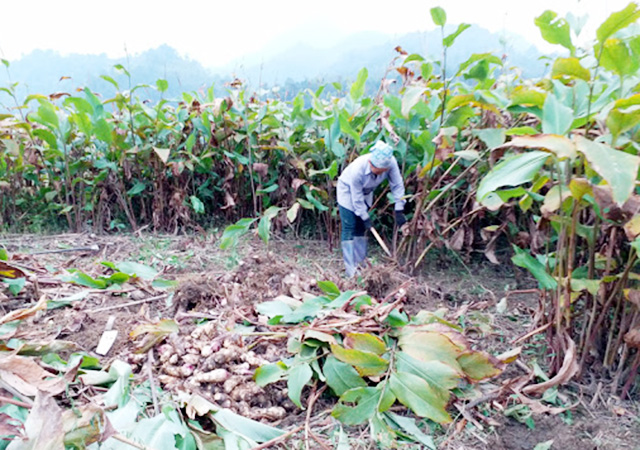 Bên cạnh giá trị kinh tế, vấn đề ATLĐ cũng ngày càng được người dân quan tâm (Ảnh TL)